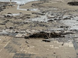 132-26-12-2025 IMG_3301